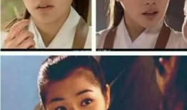 陈怡蓉主演电视剧,倾心演绎，情感纠葛的电视剧世界