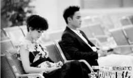 辣妈正传电视剧,职场妈妈的生活挑战与成长历程