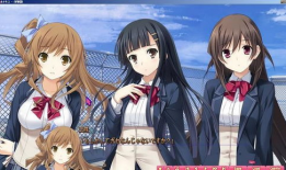 成人动漫网,探索成人动漫世界的奇幻之旅