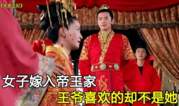 王爷电视剧,权谋风云，爱恨交织